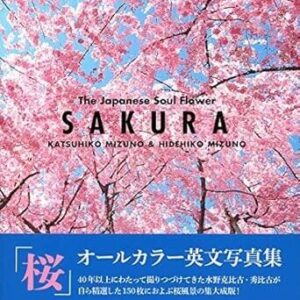 SAKURA: The Japanese Soul Flower